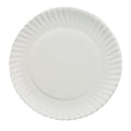 White Paper Plates