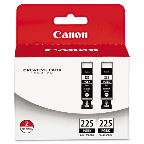 4530B007AA (PGI-225) Ink
