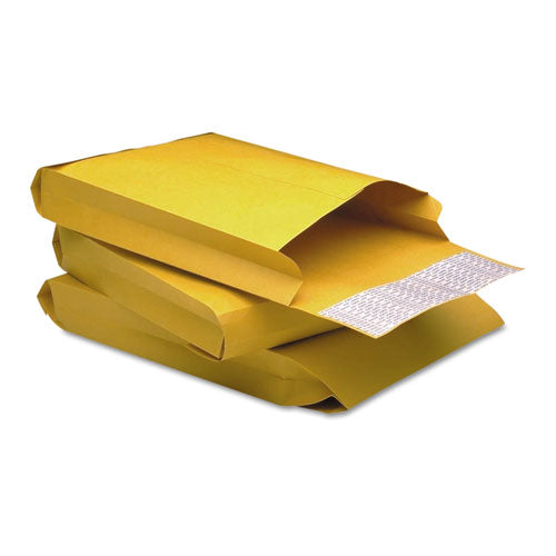 Redi-Strip Kraft Expansion Envelope