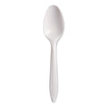 Style Setter Mediumweight Plastic Spoons