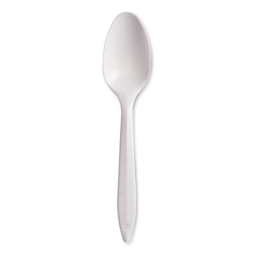 Style Setter Mediumweight Plastic Spoons