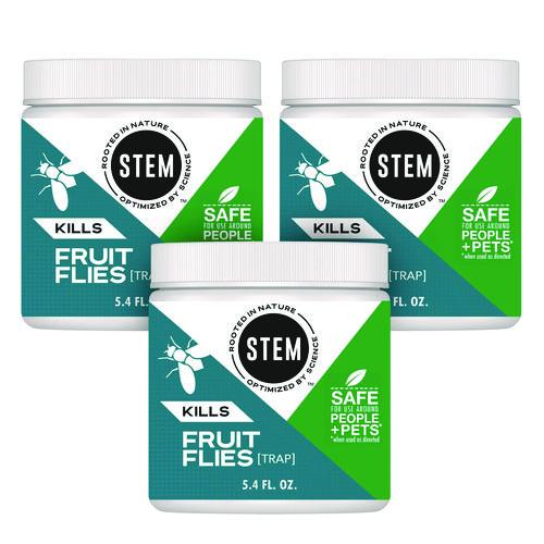 STEM Fruit Flies Trap