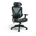 Alera Taunton Ergonomic Mesh Swivel Task Chair