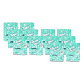 TC Clean Seat Foaming Refill
