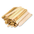 STEM Basics Jumbo Craft Sticks