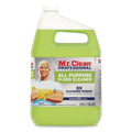 Finished Floor Cleaner