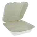 EarthChoice Bagasse Hinged Lid Container