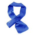 Chill-Its 6603 Evaporative PVA Cooling Band