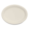 Compostable Molded Fiber Dinnerware