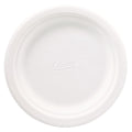 Classic Paper Plates