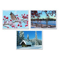 Winter Multi-Pack Placemats