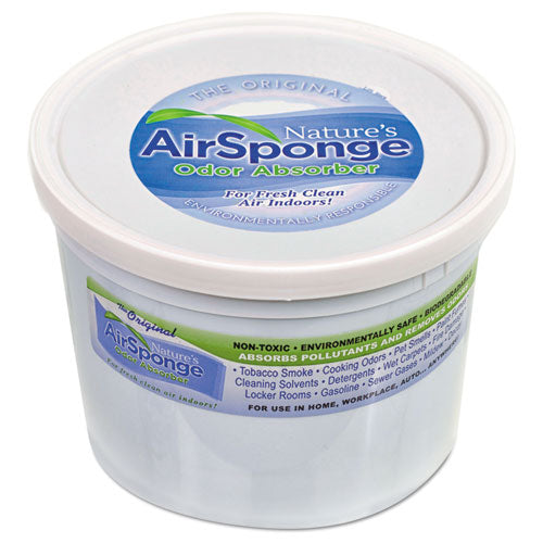 Sponge Odor Absorber