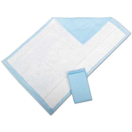 Protection Plus Disposable Underpads