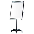 Platinum Mobile Easel