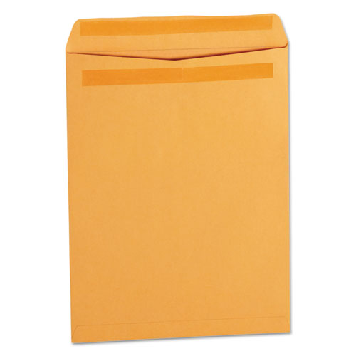 Self-Stick Open End Catalog Envelope
