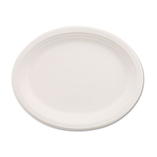 Classic Paper Dinnerware