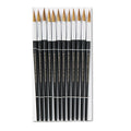 Artist Brush