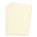 Looseleaf Minute Book Ledger Sheets