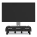 Perch Monitor Stand and Desk Organizer
