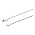 USB Apple Lightning Cable