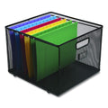 Wire Mesh File Organizer