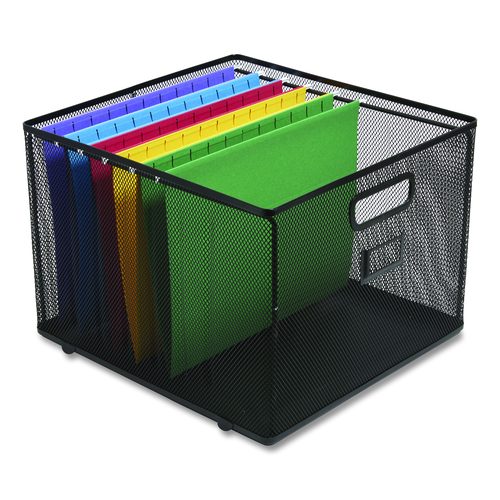 Wire Mesh File Organizer