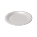 Foam Dinnerware