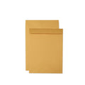 Jumbo Size Kraft Envelope