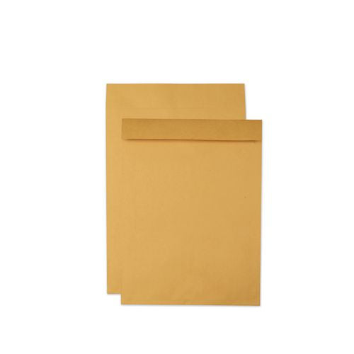 Jumbo Size Kraft Envelope