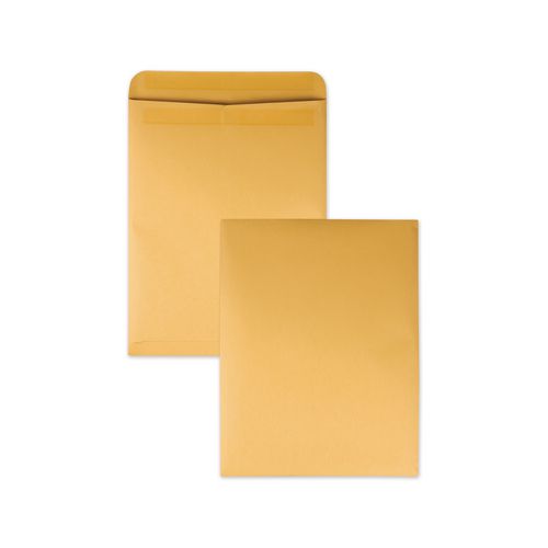 Redi-Seal Catalog Envelope