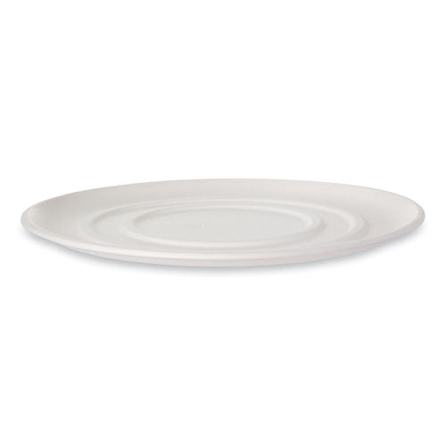 WorldView Molded Fiber Pizza Trays
