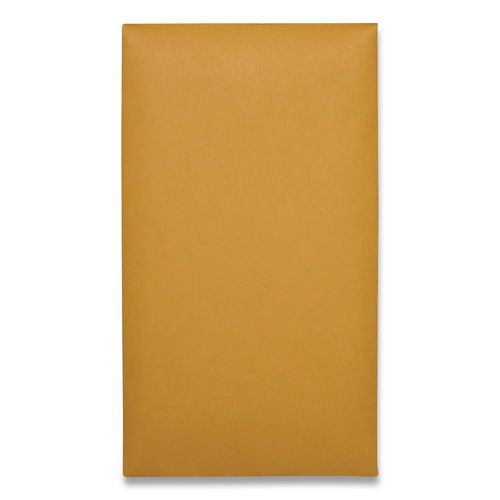 Kraft Coin and Small Parts Envelope