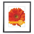 Plastic Poster Frame with Mat