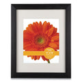 Woodtone Poster Frame with Mat