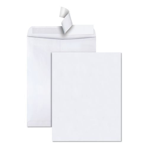 Redi-Strip Catalog Envelope