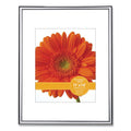 Metallic Poster Frame with Mat