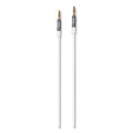 iStore 3.5 mm AUX Audio Cable