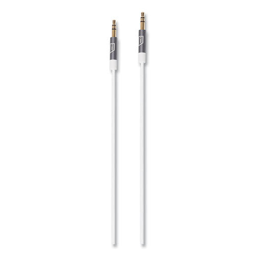 iStore 3.5 mm AUX Audio Cable