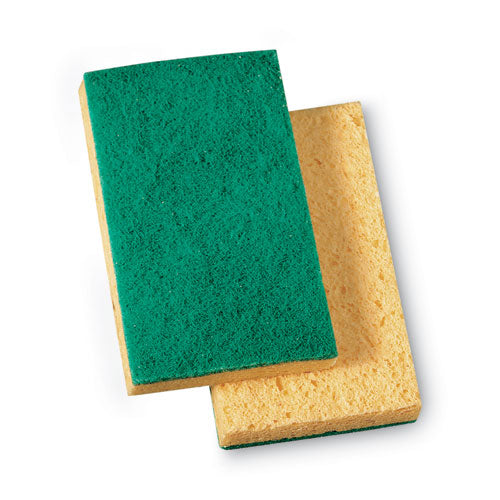 Niagara Medium Duty Scrubbing Sponge 74N