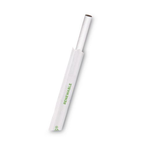 Jumbo Wrapped Paper Straw