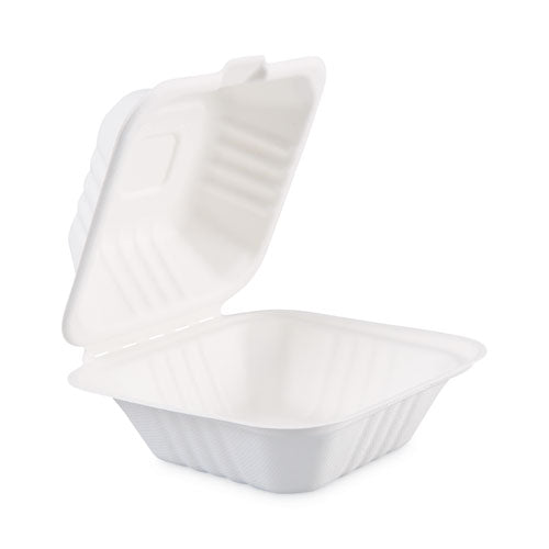 Bagasse Food Containers