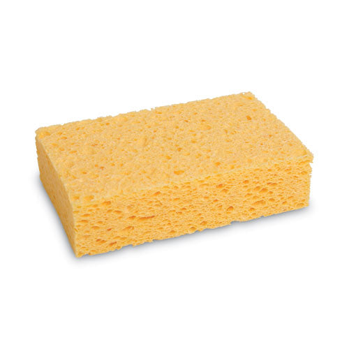 Medium Cellulose Sponge