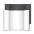 Two Cool Tri-Fold Poster Board