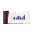 Panoramic Fold-Out Sheet Protectors