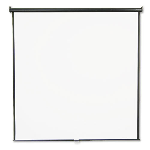 Wall or Ceiling Projection Screen