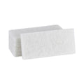 Light Duty Scouring Pad