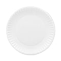 Premium Coated Paper Plates