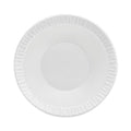 Concorde Non-Laminated Foam Bowl
