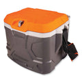 Chill-Its 5170 17-Quart Industrial Hard Sided Cooler