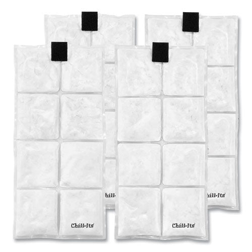 Chill-Its 6250 Lightweight Phase Change Cooling Packs